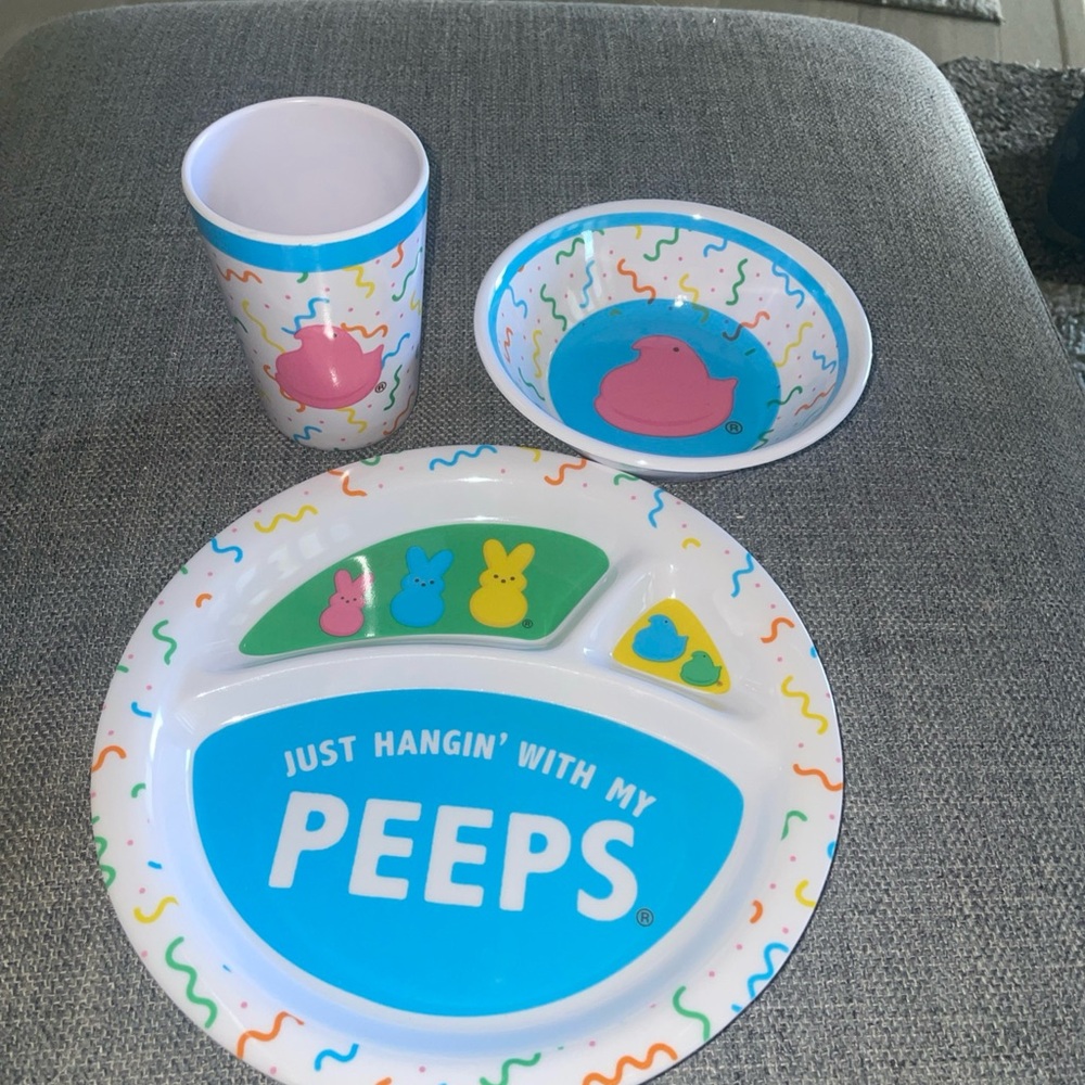 Hanging with My Peeps Themed Divided Melamine Plate Bowl Cup Easter Kids New